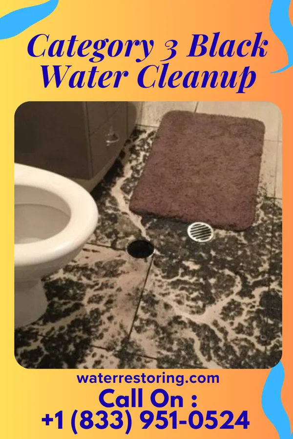 Category 3 Black Water Cleanup in Algonquin, MD