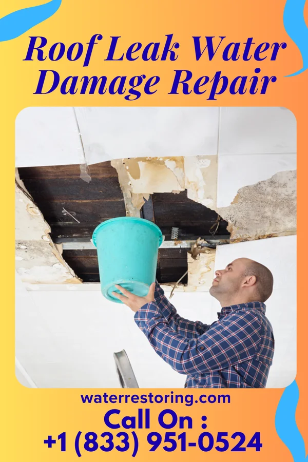 Roof Leak Water Damage Repair in Algonquin, MD