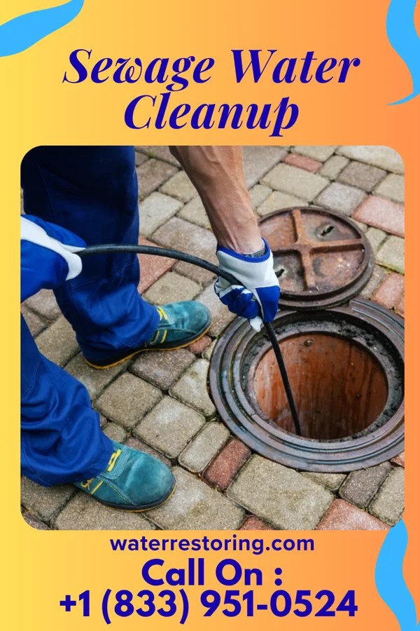 Sewage Water Cleanup in Algonquin, MD