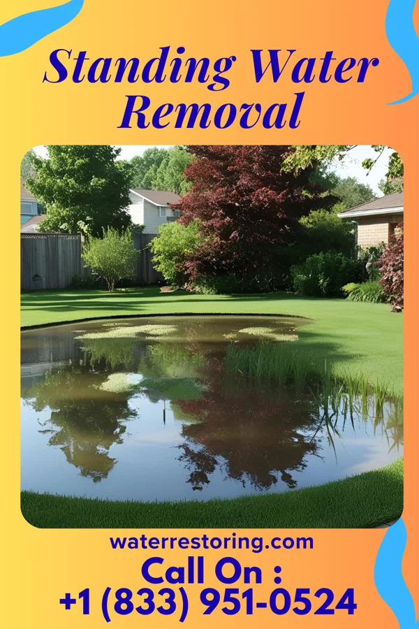 Standing Water Removal in Algonquin, MD